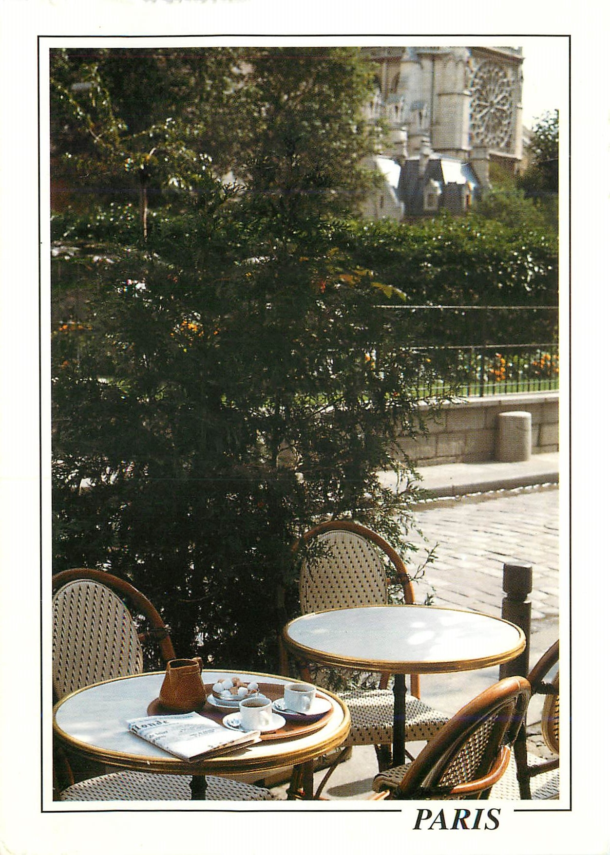 CPM Paris Vue sur la Rosace de Notre Dame depuis la Terrasse d'Un Cafe 