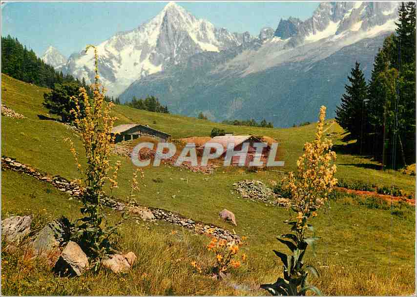 CPM Du Livre d'Images De G R M Au pays du Mont Blanc