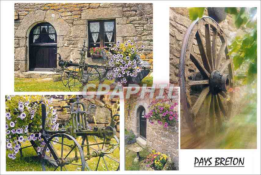 CPM Paysage de la campagne Bretonne