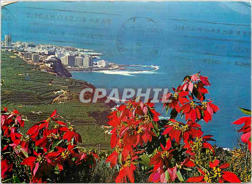 CPM Tenerife Sosta del Norte y Puerto de la Cruz