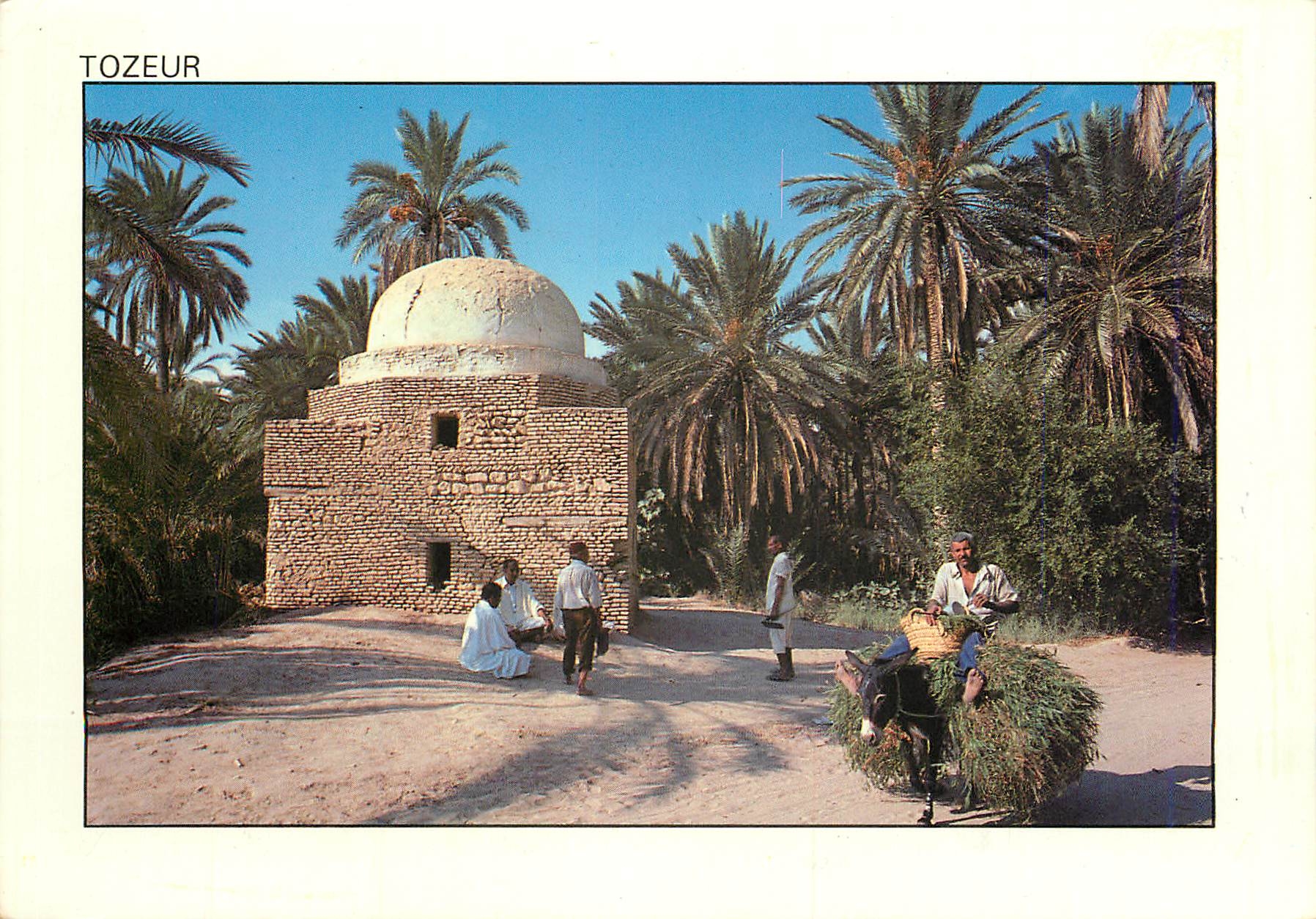 CPM Tunisie Tozeur La plameraie