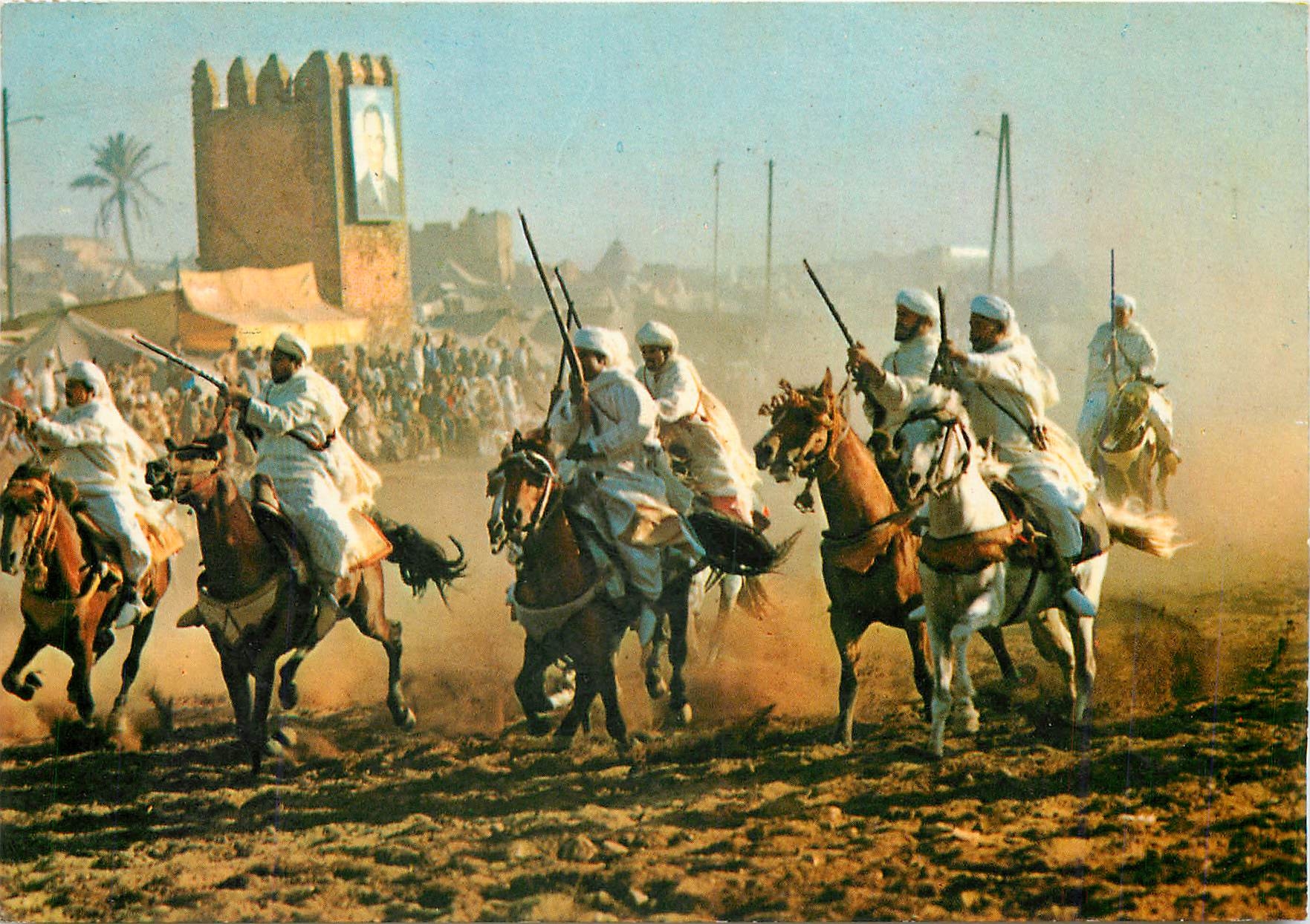 CPM Maroc Pittoresque La Fantasia Moussem