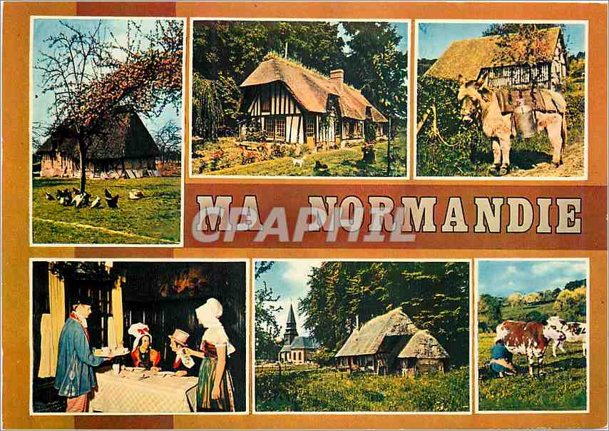 CPM Normandie Charmes et couleurs d'une Province heureuse