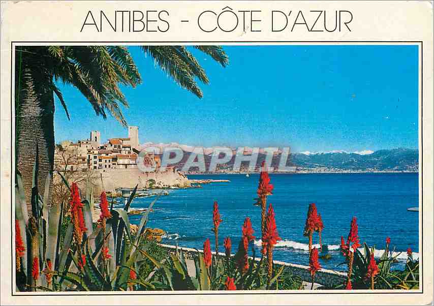CPM Cote d'Azur French Riviera Antibes (Alpes Maritimes)