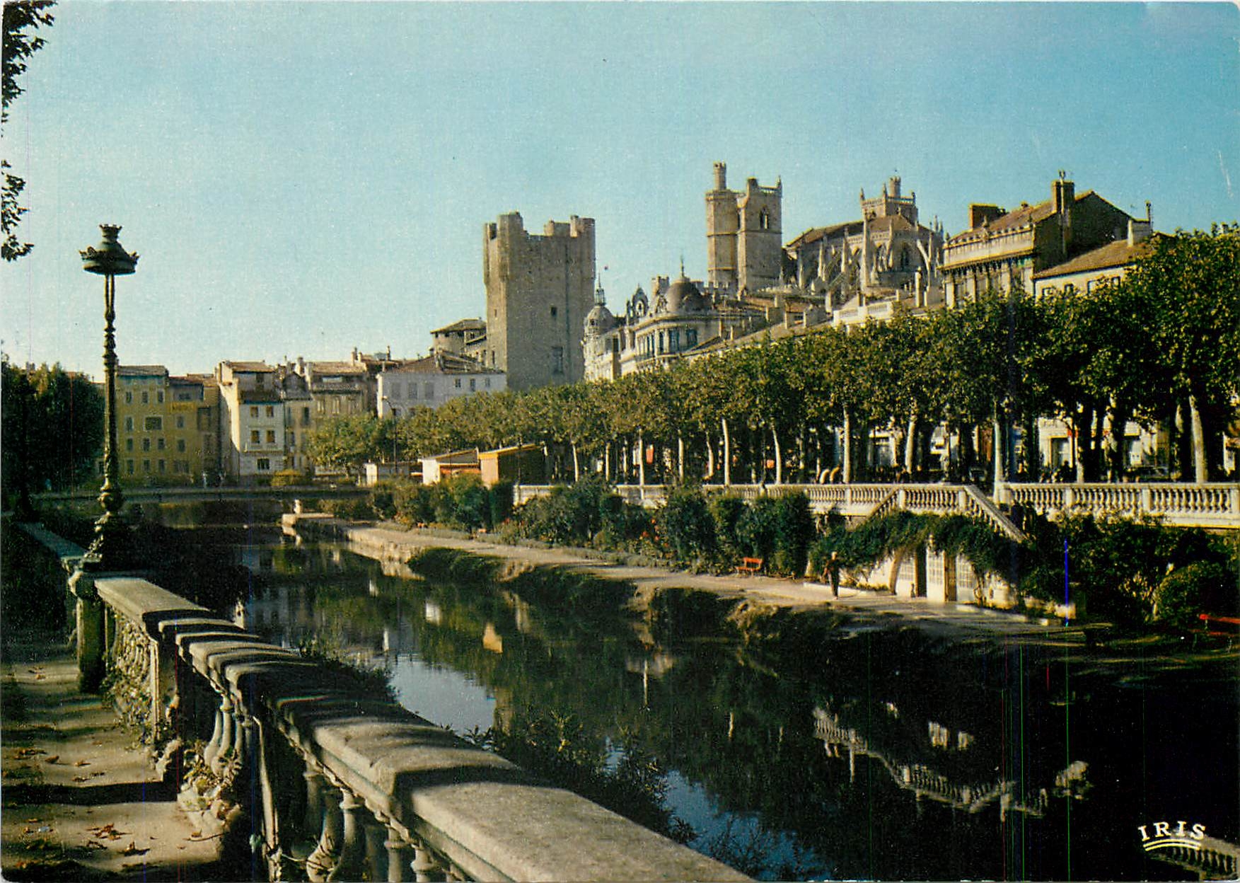 CPM Narbonne (Aude) Capitale de la Gaule meridionale la Basilique de l'hotel de ville et les quais d