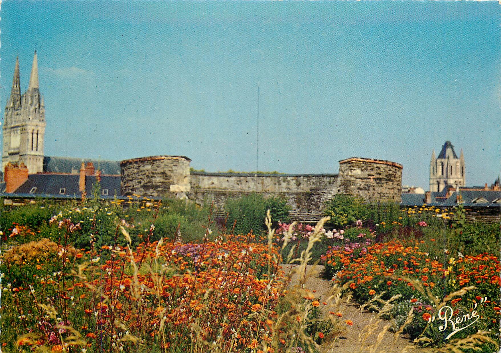 CPM Angers (Maine et Loire) Le Chateau Jardins suspendus au fond la cathedrale et la tour St Aubin