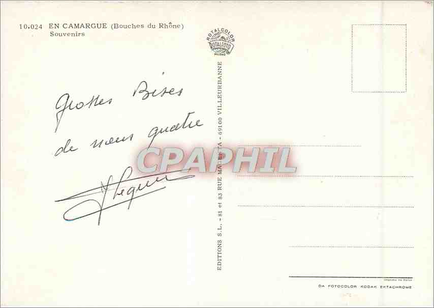 CPM En Camargue (Bouches du Rhone) Souvenirs Taureaux — Verso