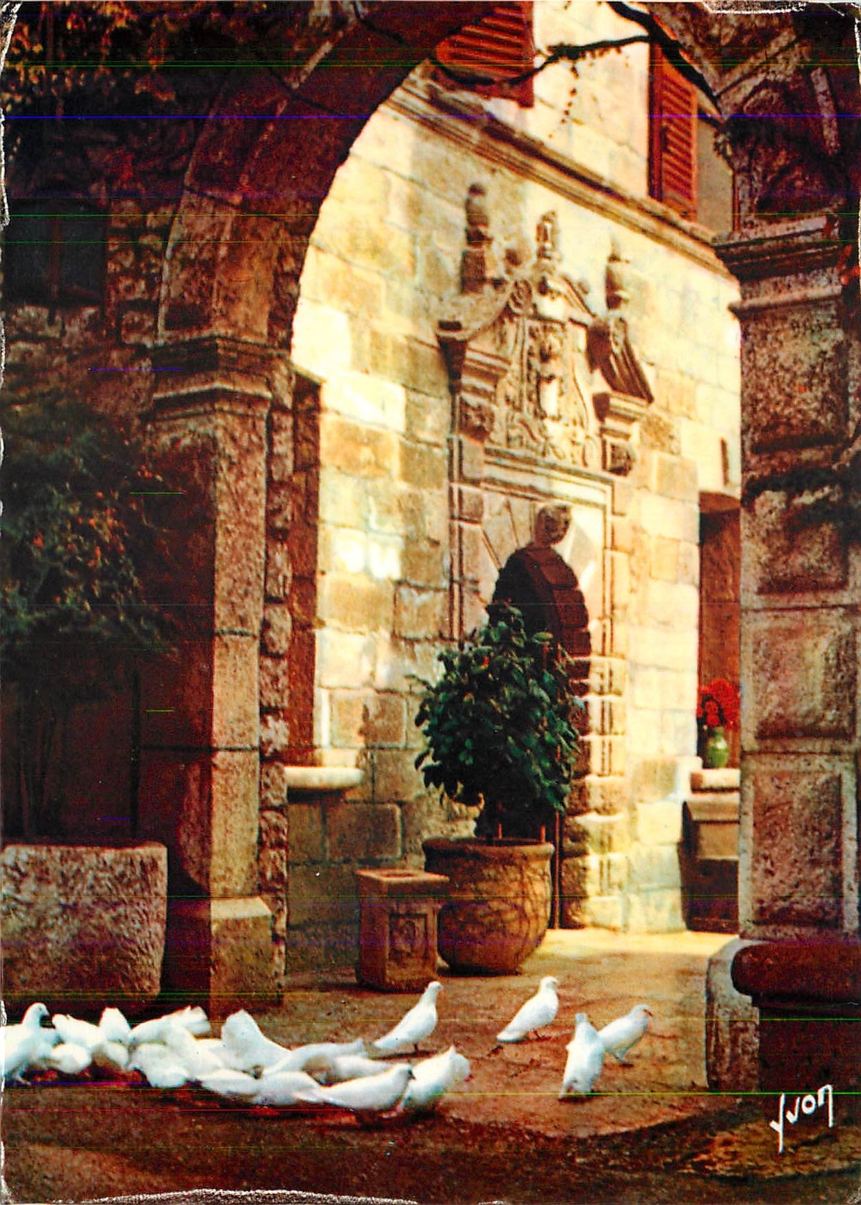 CPM Les Colombes Blanches de Saint Paul (Alpes Maritimes)