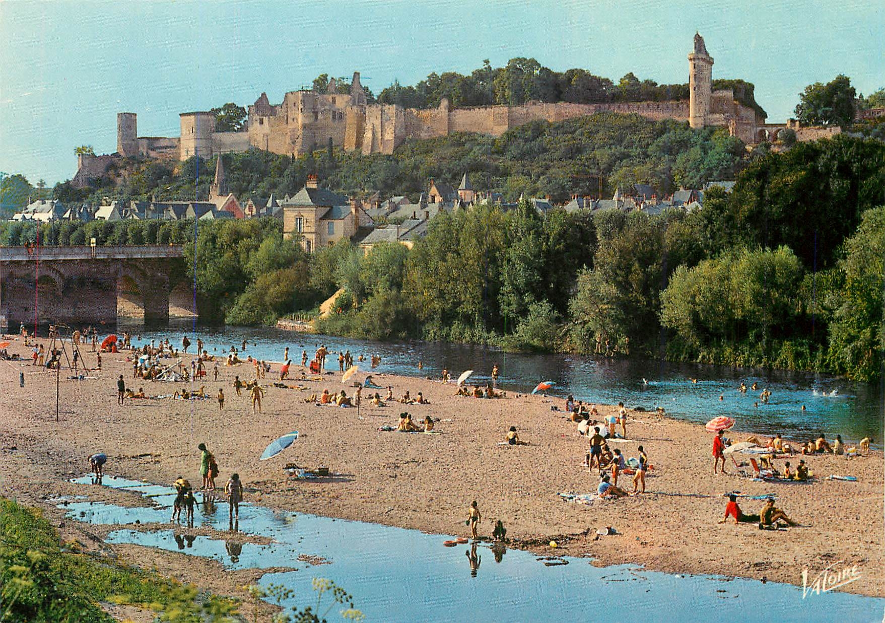 CPM Chinon (Indre et Loire) La Baignade sur la vielle le chateau