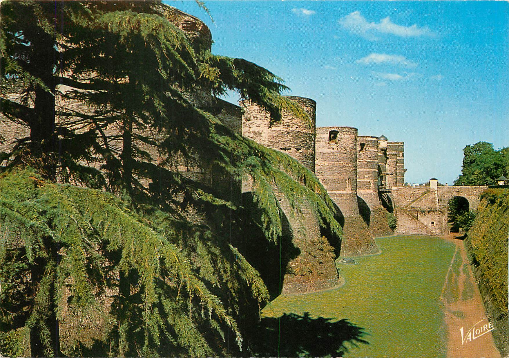 CPM Angers (Maine et Loire) Le Chateau (XIIIe s) les douves et les tours hautes de 40 a 50 m
