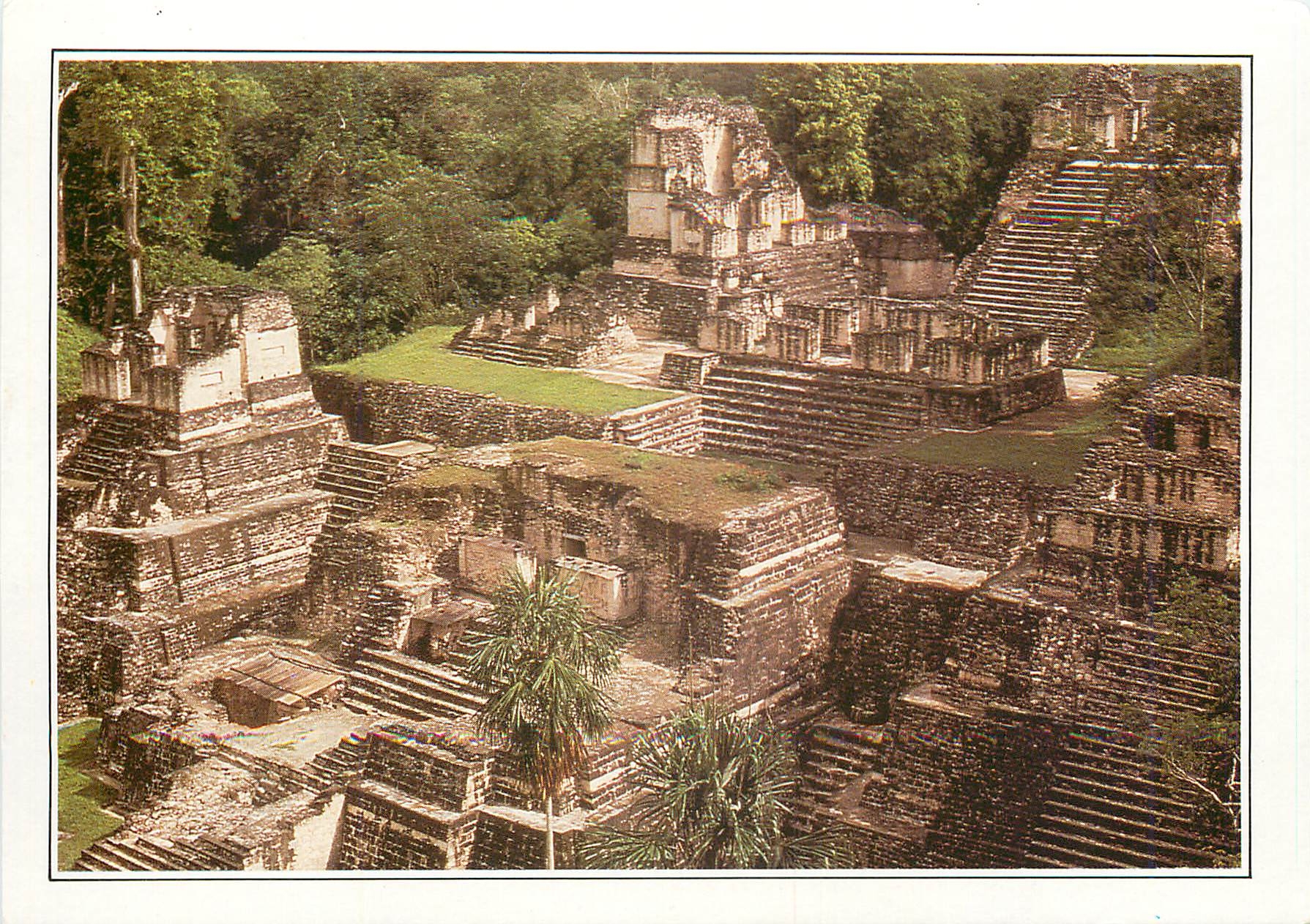 CPM Guatemala Tikal l'Ancienne metropole maya