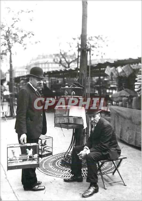 CPM Paris La Cage au Rossignol