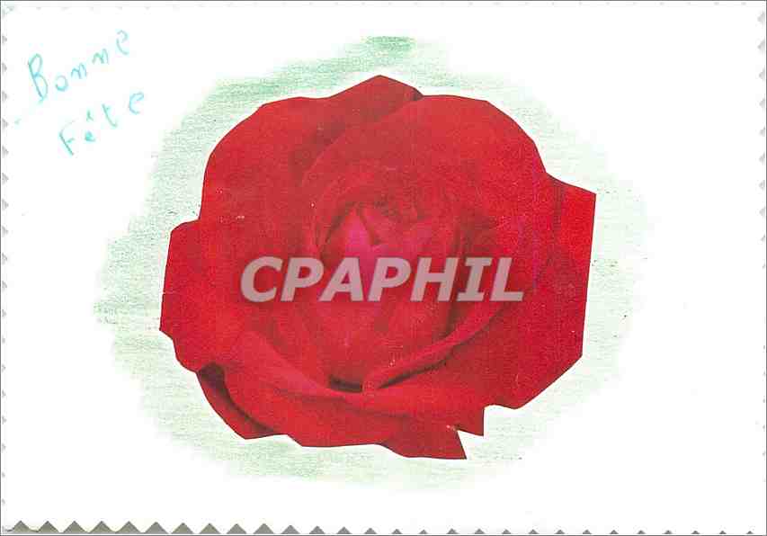 CPM Bonne Fete