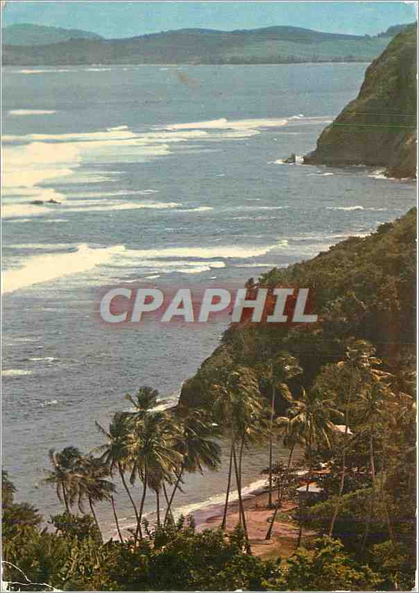 CPM Martinique Paysage sur la cote Atlantique