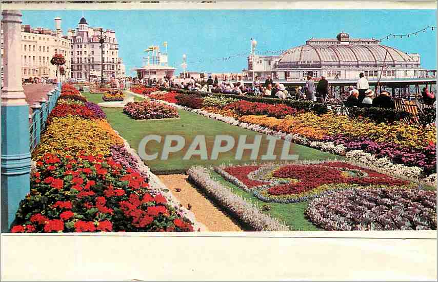 CPM Eastbourne — Rückseite