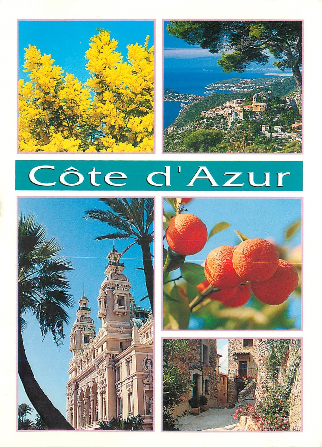 CPM Cote d'Azur I photo j p Sounier