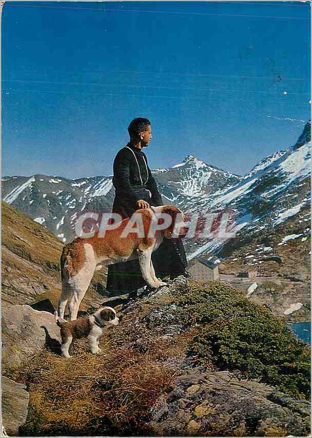 CPM Col du Grand Saint Bernard 2473 m un chanoine avec le chien Barry et son petit chiot