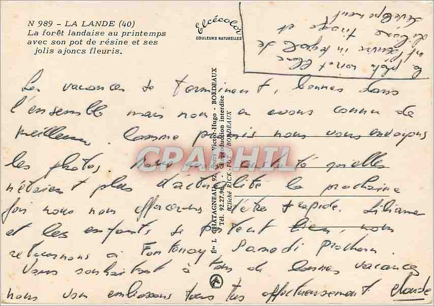 CPM La Lande La foret landaise au Printemps avec son pot de resine et ses jolis ajoncs fleuris — Rückseite