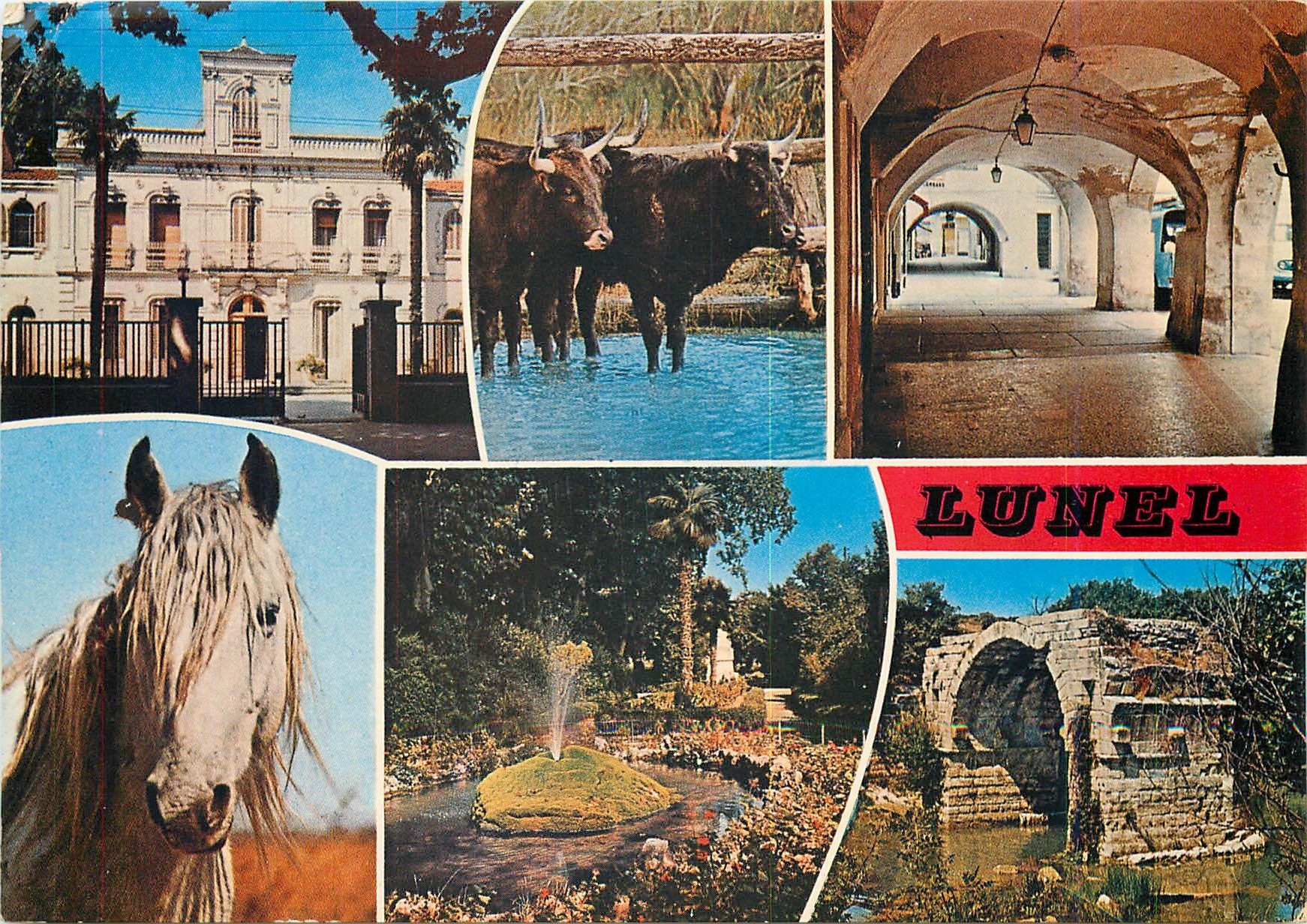 CPM Lunel (Herault) Souvenir sur la ville aux portes de la camargue