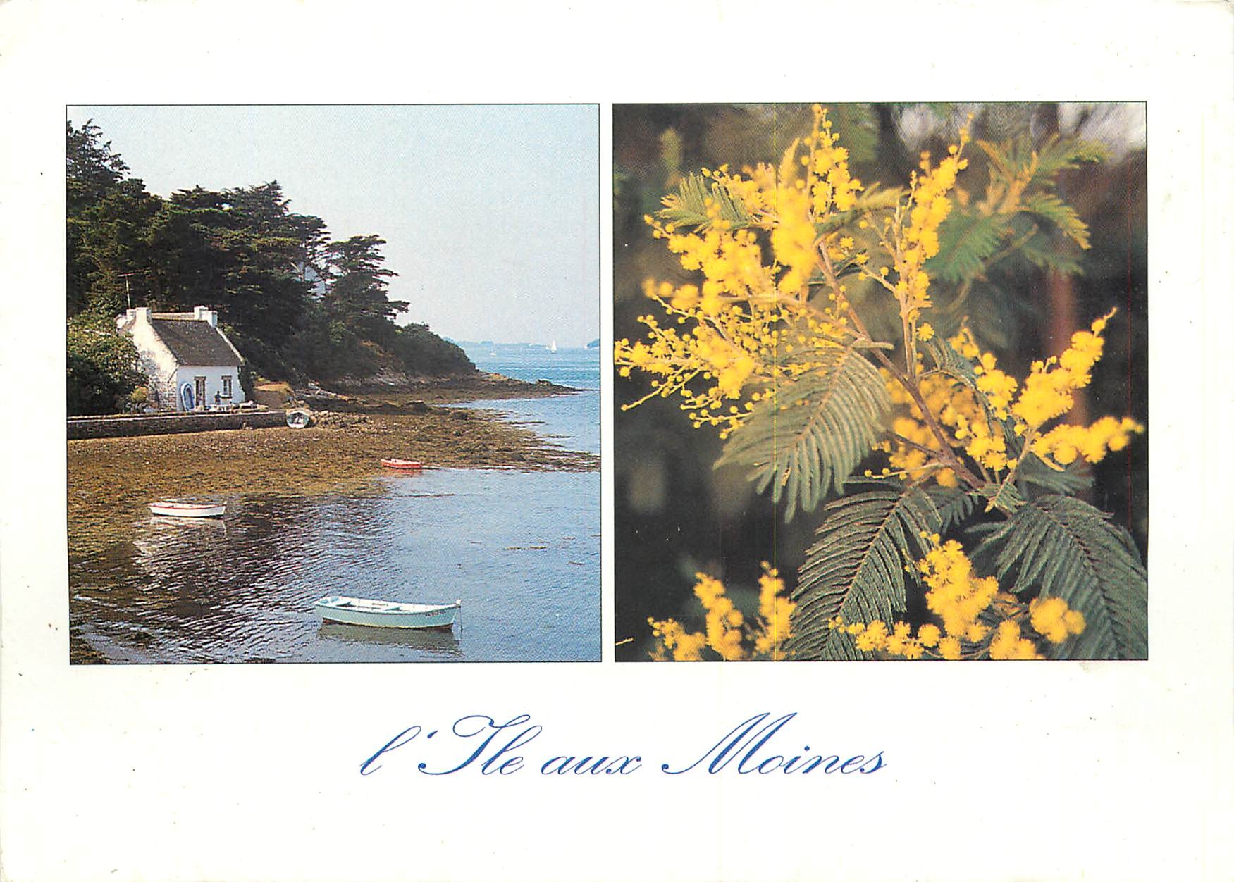 CPM Iles aux Moines perle du Golfe du Morbihan