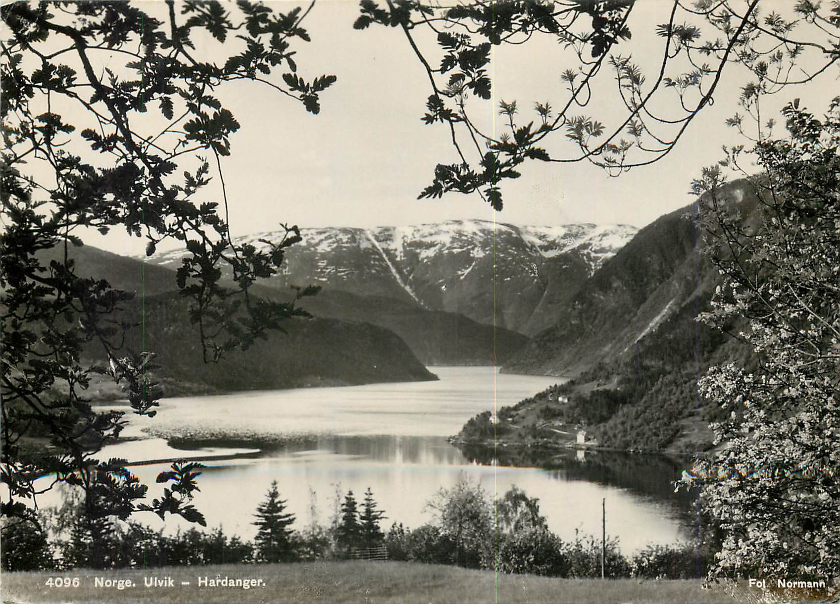 CPM Norge Ulvik Hardanger