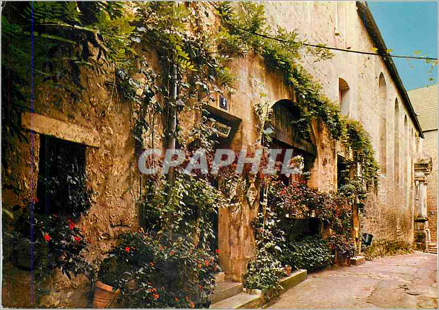CPM Sarlat (Dordogne) Vieille maison fleurie