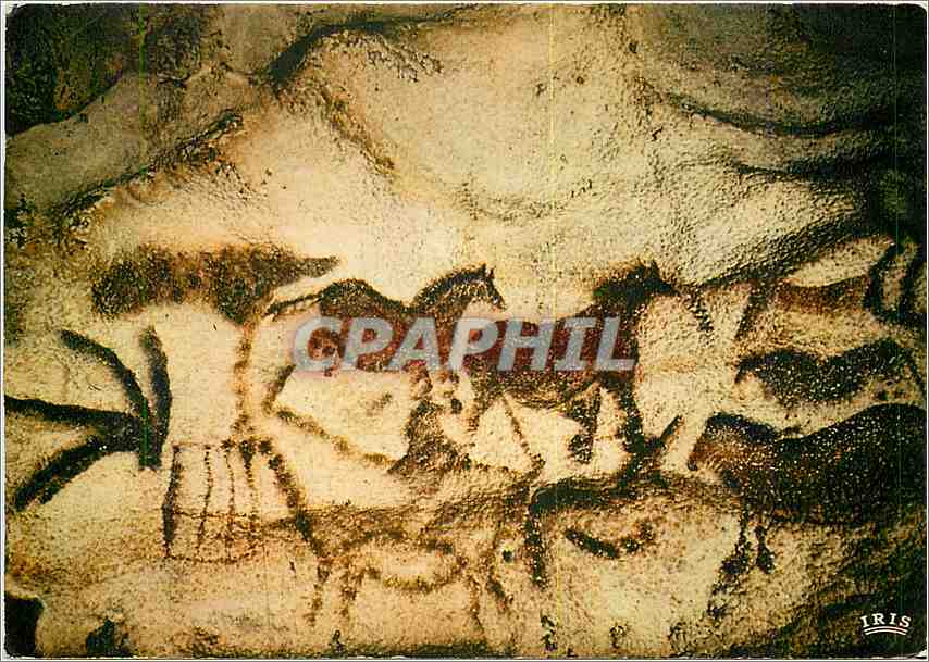 CPM Le Perigord Touristique Grotte de Lascaux At Prehistorique