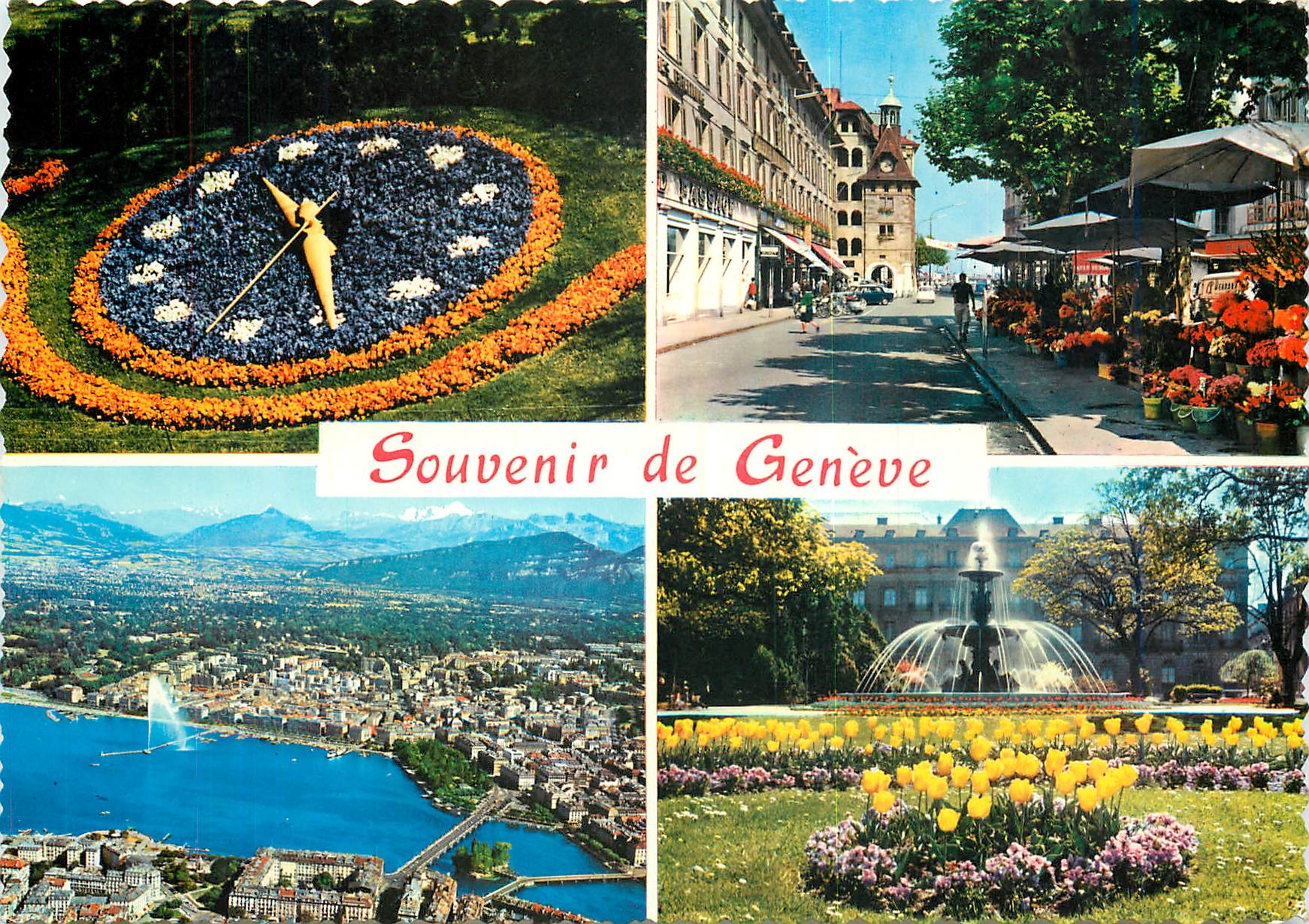 CPM Souvenir de Geneve L'Horloge au Printemp Place du Molard vue aerienne
