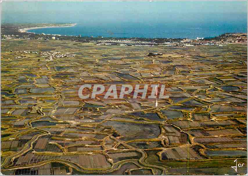 CPM La Bretagne en couleurs Presqu'il de Guerande (L A) Les marais salants et la baie de la baule