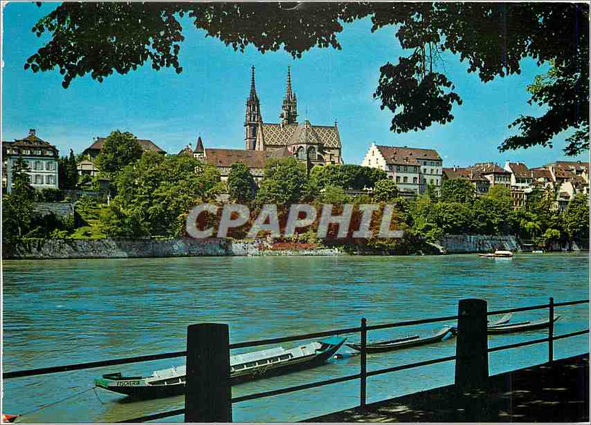 CPM Basel Vue sur le Rhin et la Cathedrale