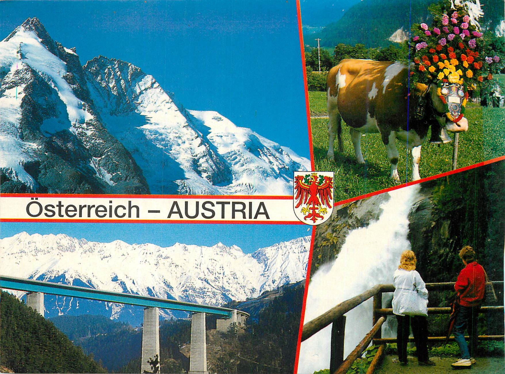 CPM Ein Urlaubsgrub aus Osterreich Grobglichner 2798 m almabtreib