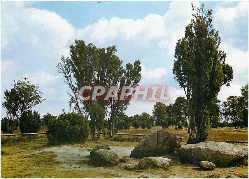 CPM Billung Stein Naturschtzgebiet Luneburger Heide