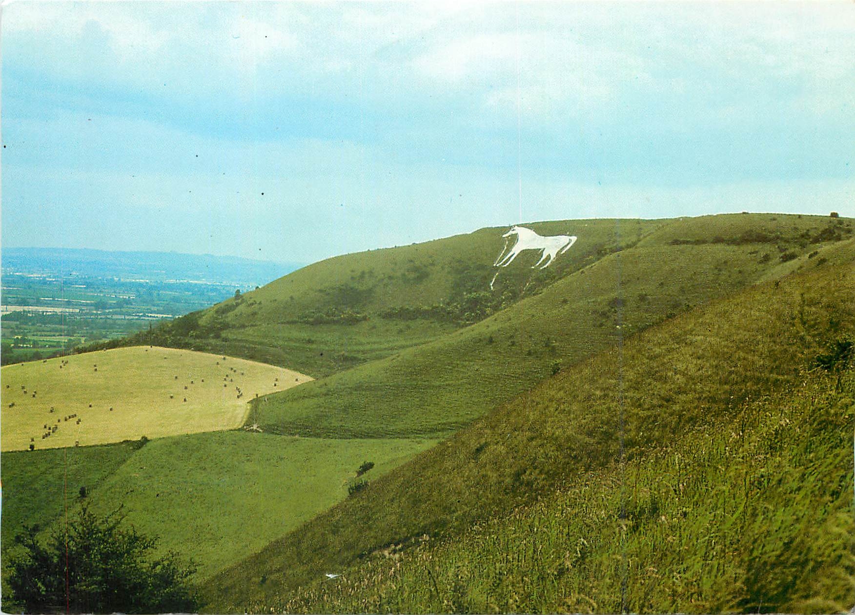 CPM Westbury white horse an ancient horse severat times re cut