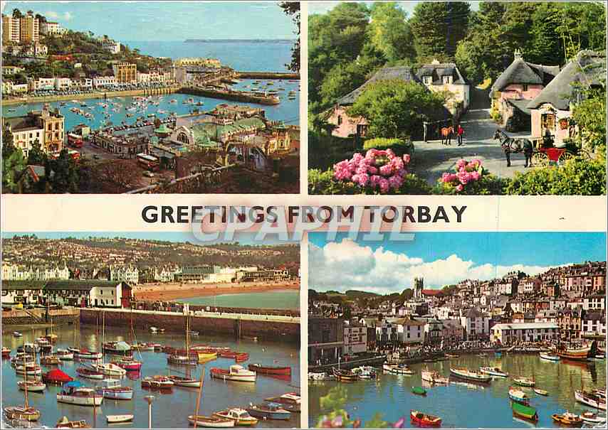 CPM Greetings from Torbay