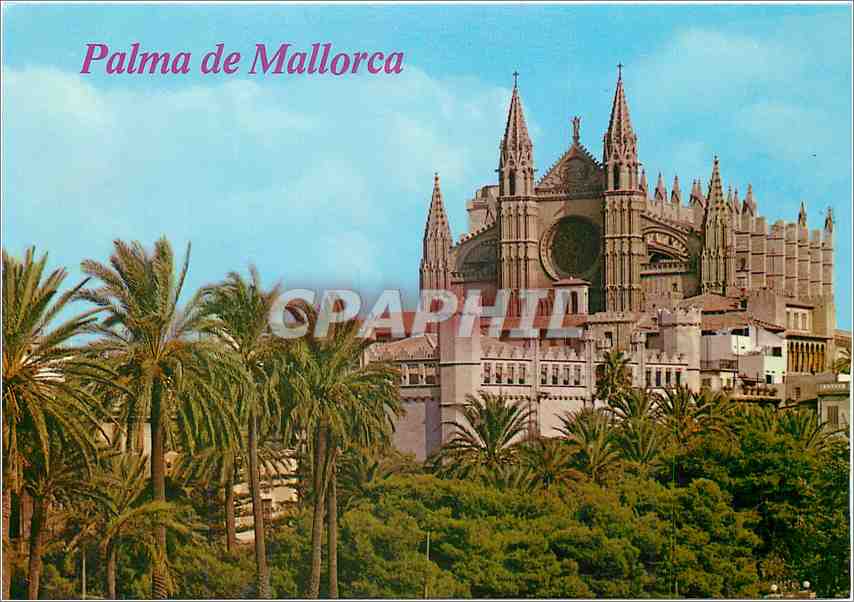 CPM Mallorca Palma la catedrale y la Lonja