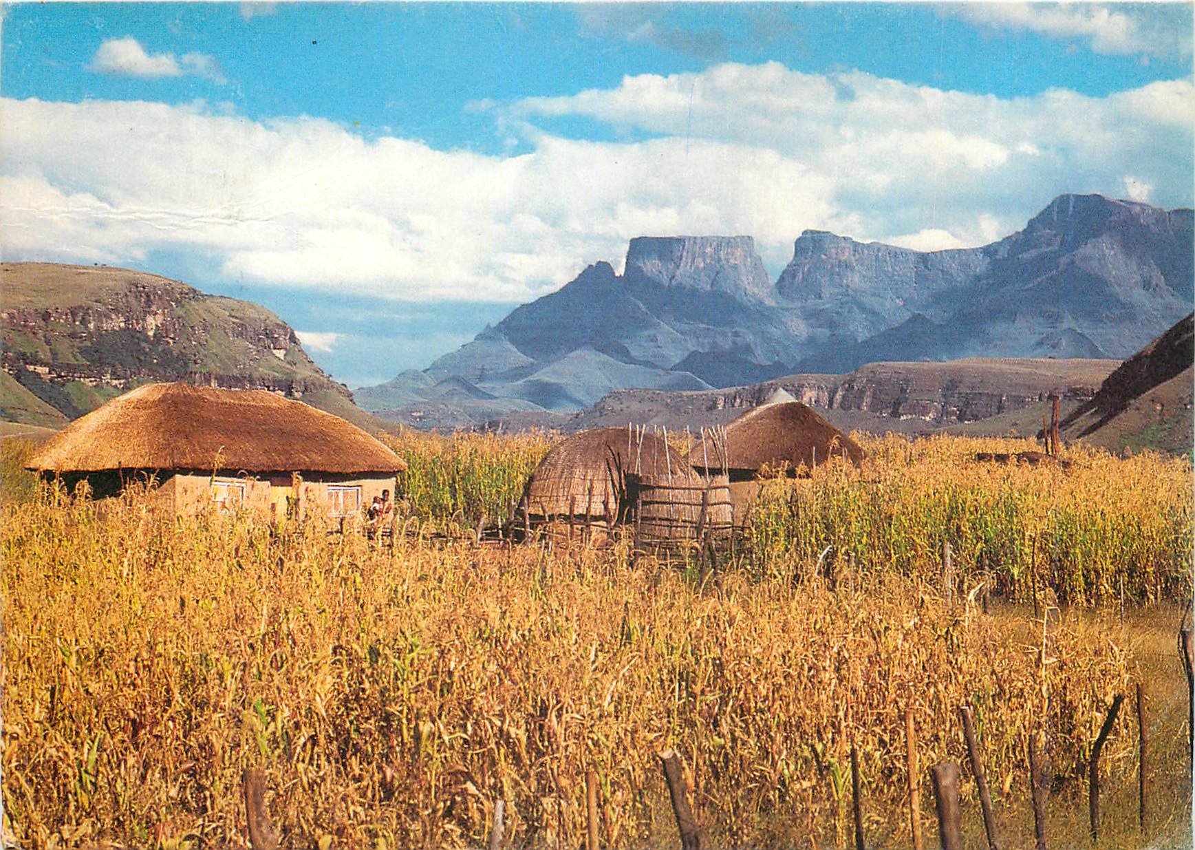 CPM Drakensberg natal South Africa