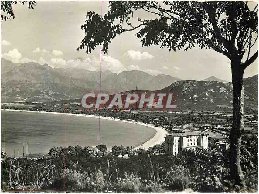 CPM La Corse Ile de Beaute Calvi l'HOtel Calvi Palace La plage et le golfe