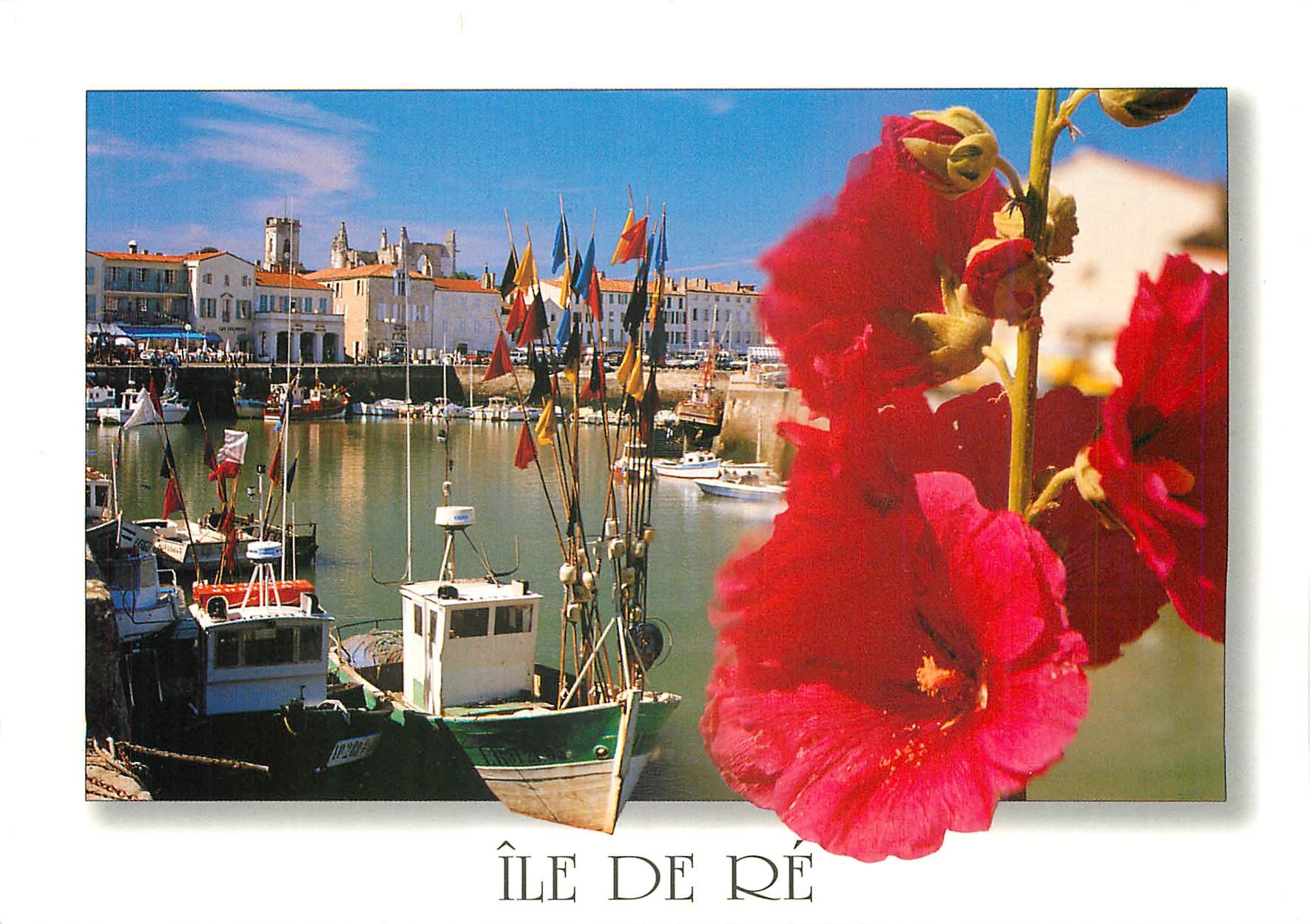 CPM La Cote Atlantique Ile de Re (Char Mar) Saint Martin