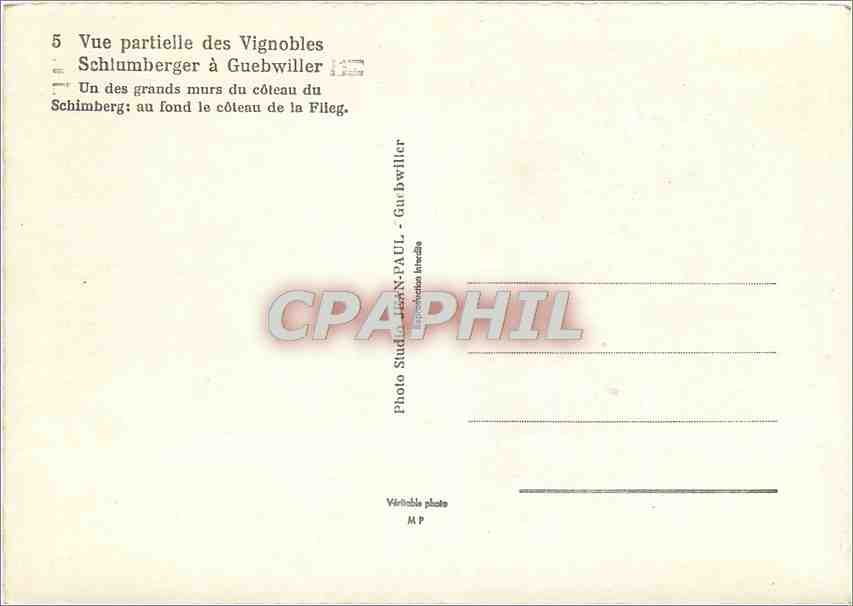 Vignobles de Guebwiller — Vue partielle des vignobles Schlumberger — grands murs du coteau de la Fileg — Verso