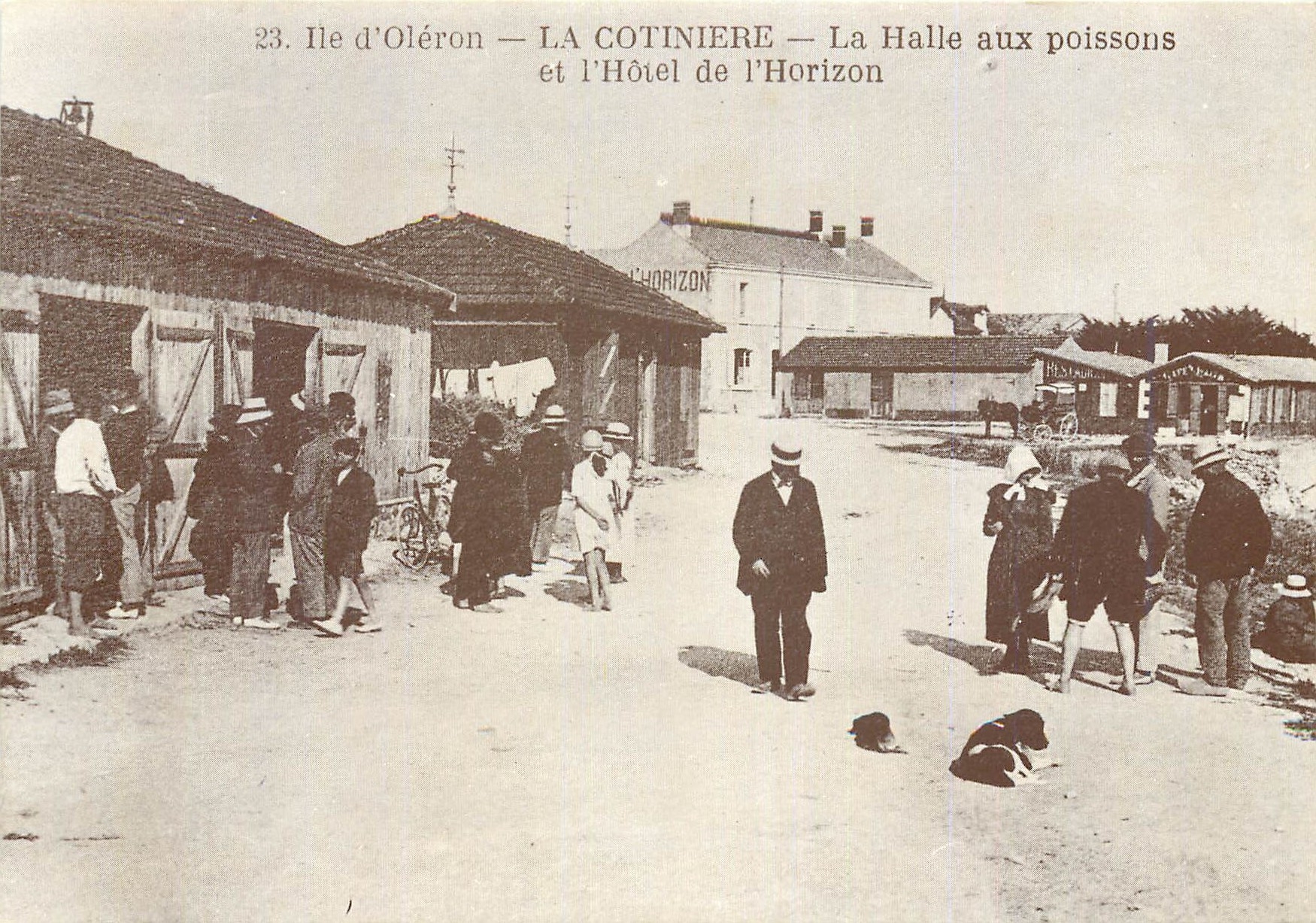 CPM Ile d'Oleron La Cotiniere la Halle aux poissons et l'hotel de l'horizon