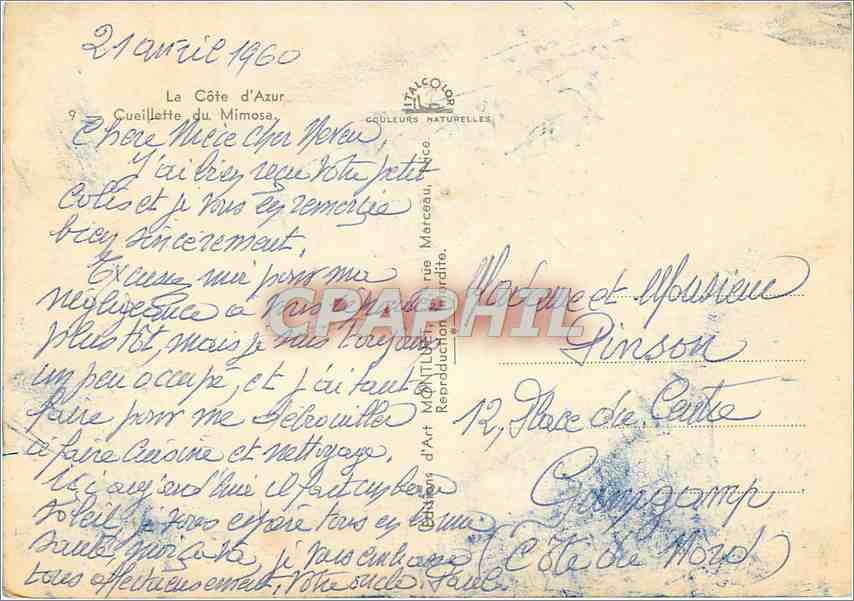 CPM la cote d'Azur Cueillette du Mimosa — Verso