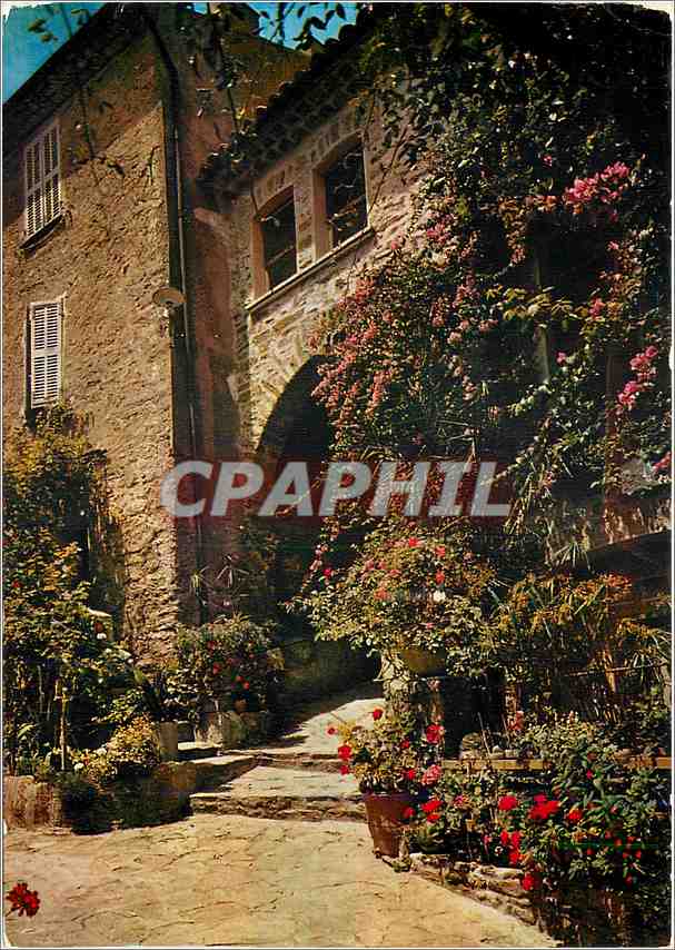 CPM La Cote d'Azur Varoise Bormes les Mimosas (Var)