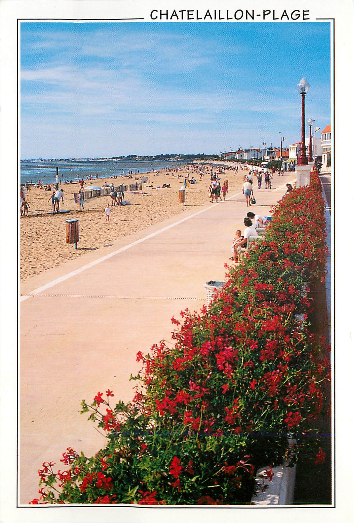 CPM Chatelaillon Plage la Plage et le Front de mer Fleuri