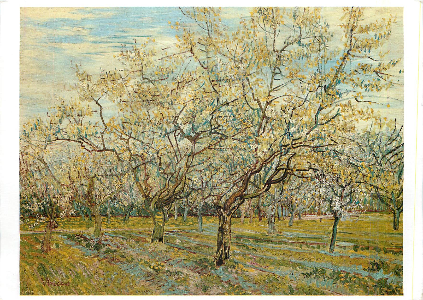 CPM Vincent van Gogh (1853 1890) de Witte boomgaard