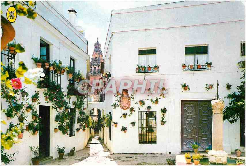CPM Cordoba Petite Place et rue des fleurs