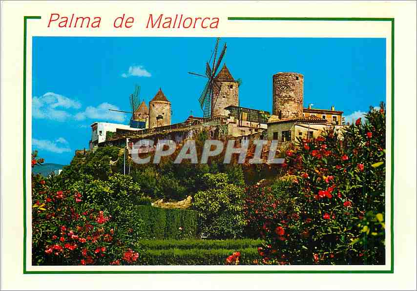 CPM Mallorca (Balerares) Espana Palma Molinos del Jonquel