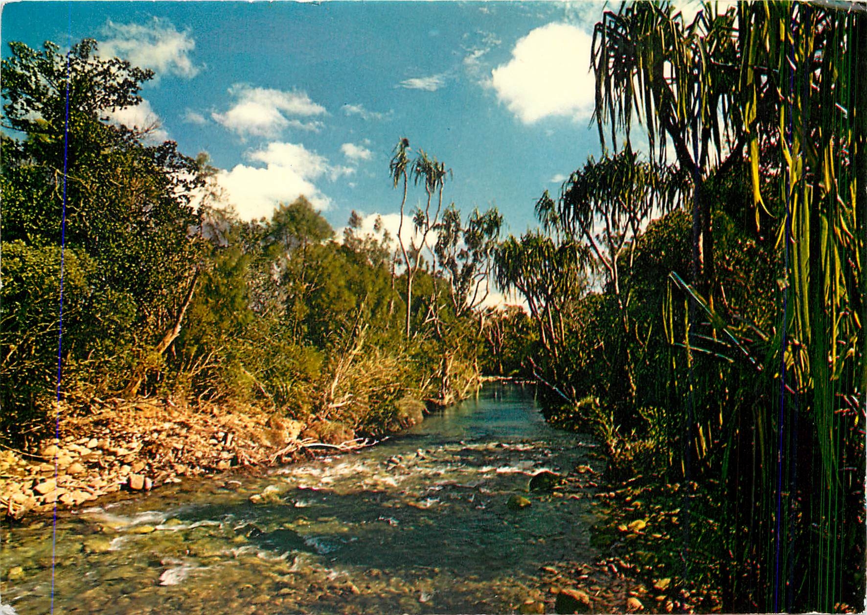 CPM Riviere de la Baraoua Cote Ouest Nouvelle Caledonie