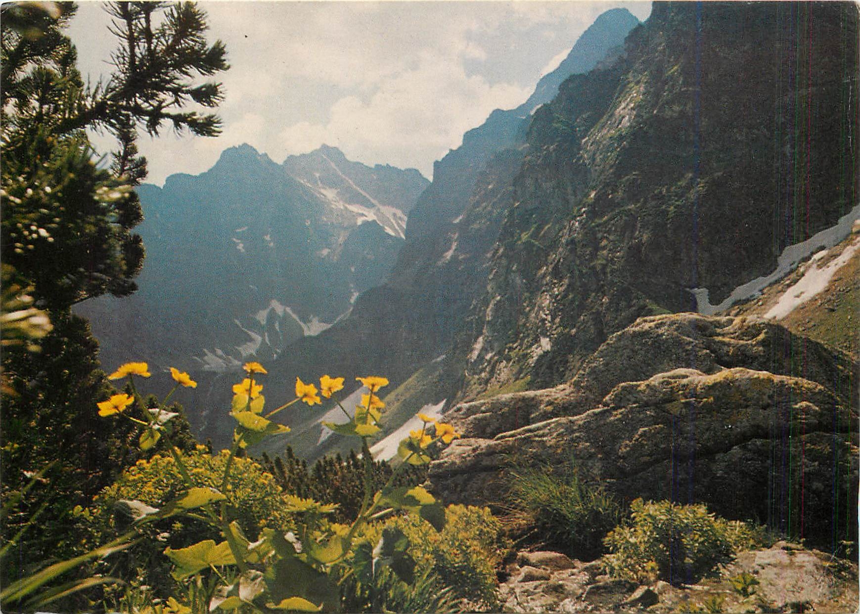 CPM Tatry Wysokie Sciany mieguszowieckich Kazaincy