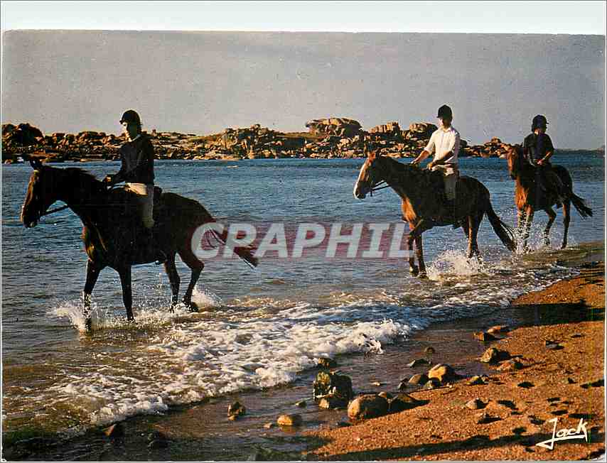 CPM Couleurs de Bretagne Promenade equestre sur la Cote
