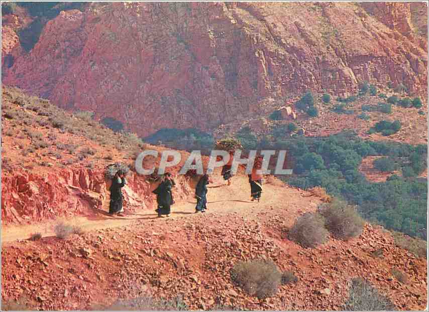 CPM Maroc Typique